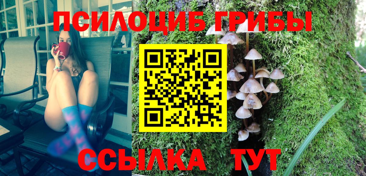 Псилоцибиновые грибы MAGIC MUSHROOMS  Псилоцибиновые грибы мицелий  закладка  Карталы  Вход с VPN 